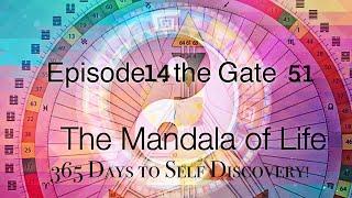 EPISODE 14:GATE 51:SHOCK:THE HUMAN DESIGN MANDALA OF LIFE: 365 Days to Self Discovery!