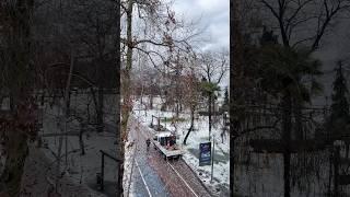 ORDUСнежный город️️#снег#февраль#горы#зима#турция#черноеморе