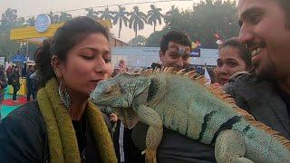 She KISSED my IGUANA!! | Petfed Delhi 2019