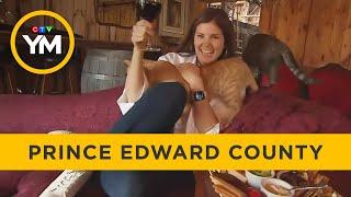 Lindsey takes a tour of Prince Edward County | Your Morning