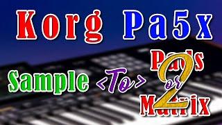 Korg Pa5x Sample to Pads or Matrix 2 Video