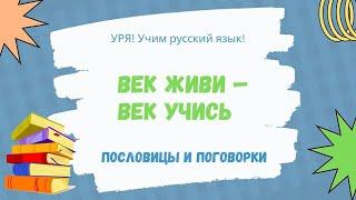 Век живи — век учись. Пословица. Тренажёр для запоминания | Live and Learn || Learn Russian Proverbs