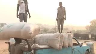 Special Report on Rice Revolution and Cottage Industry in Nasarawa State