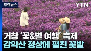 '꽃과 별' 즐기는 가을 추억 여행...북적북적 / YTN