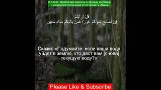 Коран Сура Аль-Мульк | 67:30 | Чтение Корана с русским переводом | #quran الملك