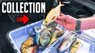 His SWIMBAIT Collection  (Mind Blown!!!)