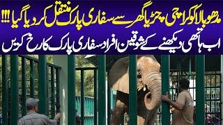 Karachi Zoo's Elephant Finds New Home | Madhubala Shifted to Safari Park | Animal Lover