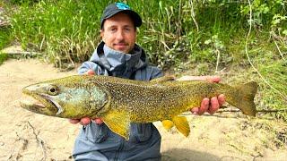 ITALIAN GOLD! BIG Marble and Rainbow Trouts from the River! Lure Fishing Catch & Release