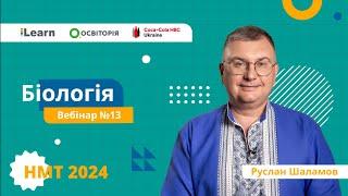 НМТ-2024. Біологія. Вебінар 13. Екологія