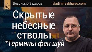 Скрытые небесные стволы. 99 терминов фен шуй. Владимир Захаров - эксперт фэншуй, бацзы для бизнеса