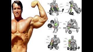 17 TOP BICEPS EXS FOR MASS / BICEPS WORKOUT