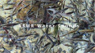 #ASMR #watersounds GEOMAR Kiel