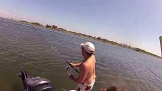 GoPro Catching a Cownose Stingray in NJ