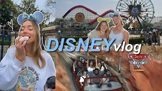 a very chaotic disney vlog.