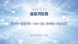 [자손만대계승신앙의 초석이 되는 생명의 빛 교회] '24.12.27/금요기도회/창2:23-25/뼈 중의 뼈요 살 중의 살이라/설교 : 김영길 목사