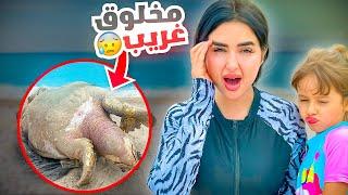 لقينا مخلوق مرعب في البحر عمره  100 سنه  | انصدمنا من الي شفناه 