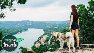 Top 10 Places to Travel with Your Dog in North America