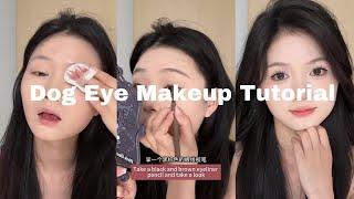 Dog Eye Shape Makeup Tutorial