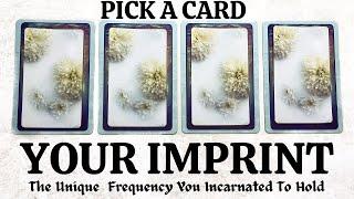 PICK A CARD  Your IMPRINT  Who Are You Truly? 🪷 The Frequency You Incarnated To Hold 