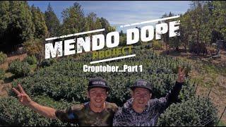 "Croptober Part 1" - The Mendo Dope Project Season 2