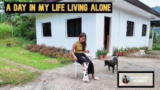 A Day In My Life Living Alone In Countryside