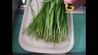 Spring Onion Chopping Machine