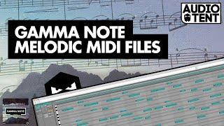 Gamma Note Melodic Techno MIDI Files (Inside Look)