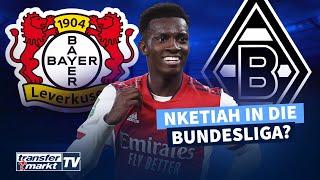 Arsenal-Talent Nketiah in die Bundesliga? Leverkusen & Gladbach mit Interesse | TRANSFERMARKT