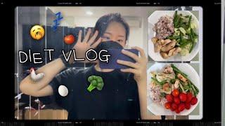 DIET VLOG | 바디프로필 준비 | 오전 6시에 밥먹고 강남 헬스장 가기 | 본투윈 헬스 가방 언박싱 | 갓생 살면서 다이어트 도시락 싸기 | 다이어트 브이로그