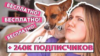 БЫСТРО раскрутить тик ток С НУЛЯ // это работает!