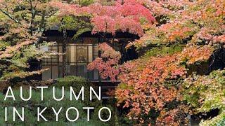 Autumn in Kyoto | Travel in Japan