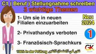 #C1 ( Beruf ) Stellungnahme schreiben ( 3 wichtige Themen ) | neu 2024