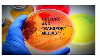 Culture media/Transport Media