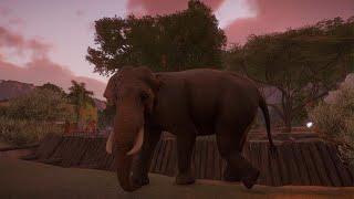 Planet Zoo: Indian Elephant