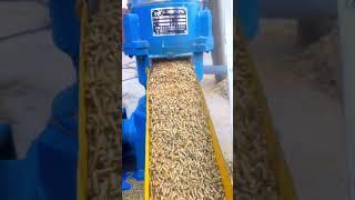 Electric poultry chicken feeds grass pellet making machine diesel cattle pelletizer machine.