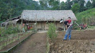 Building Flower Fences, Renovating Gardens and Growing Vegetables | EP. 02