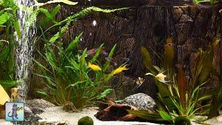 Relaxing Aquarium Fish Tank Sounds ~ NO MUSIC 