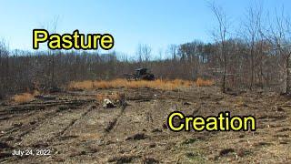 Pasture Creation with a Forestry Mulcher