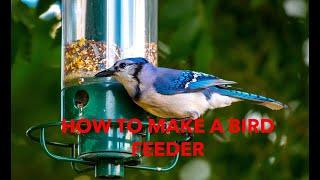 DIY Bird Feeder  Fun Recycled Craft for kids