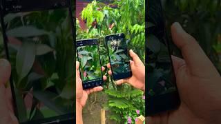 Realme C65 5G VS Vivo T3x 5G Video Camera Test  #realmec65 #vivot3x5g #viral