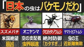 外国人を震撼させた日本の最強昆虫6選【ゆっくり解説】【海外の反応】