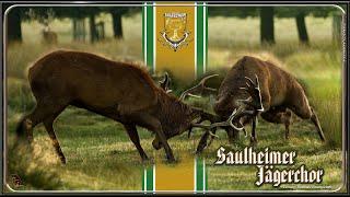 SAULHEIMER JÄGERCHOR ~ Wie lieblich schallt durch Busch und Wald - Friedrich Silcher ~ Ltg. REINH...