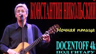 Константин Никольский - Ночная птица