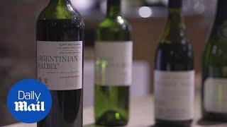 Expert explains how to taste wine for beginners