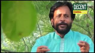 Patla Ching Dhola | Gulshan Nasir Hussain | Decent Chakwal 84 Tv