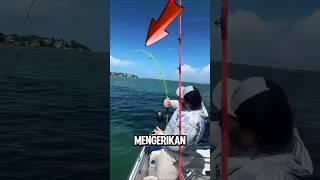 LIHAT GUYS JORAN PEMANCING INI MELENGKUNG DI TARIK IKAN ‼️ #shorts #fishing #mancing