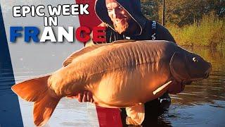 Chasing Monster Carp in the Heart of France