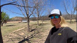 Family Time Spent Solving Property Mysteries & Pecans Are Now For Sale! Small Pecan Farm Update Ep7