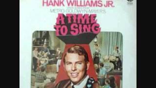 Hank Williams Jr - There's Gotta Be More To Life Than You