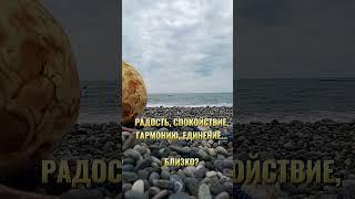 Медитация с юмором #медитация #формулароста #психология #воспитание #мотивациядня #коучинг #коуч